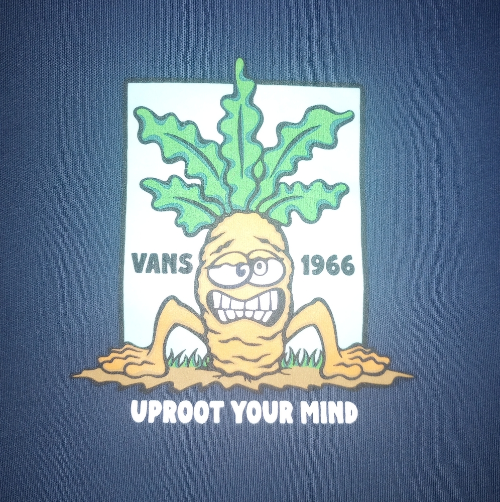 Vans Shirt